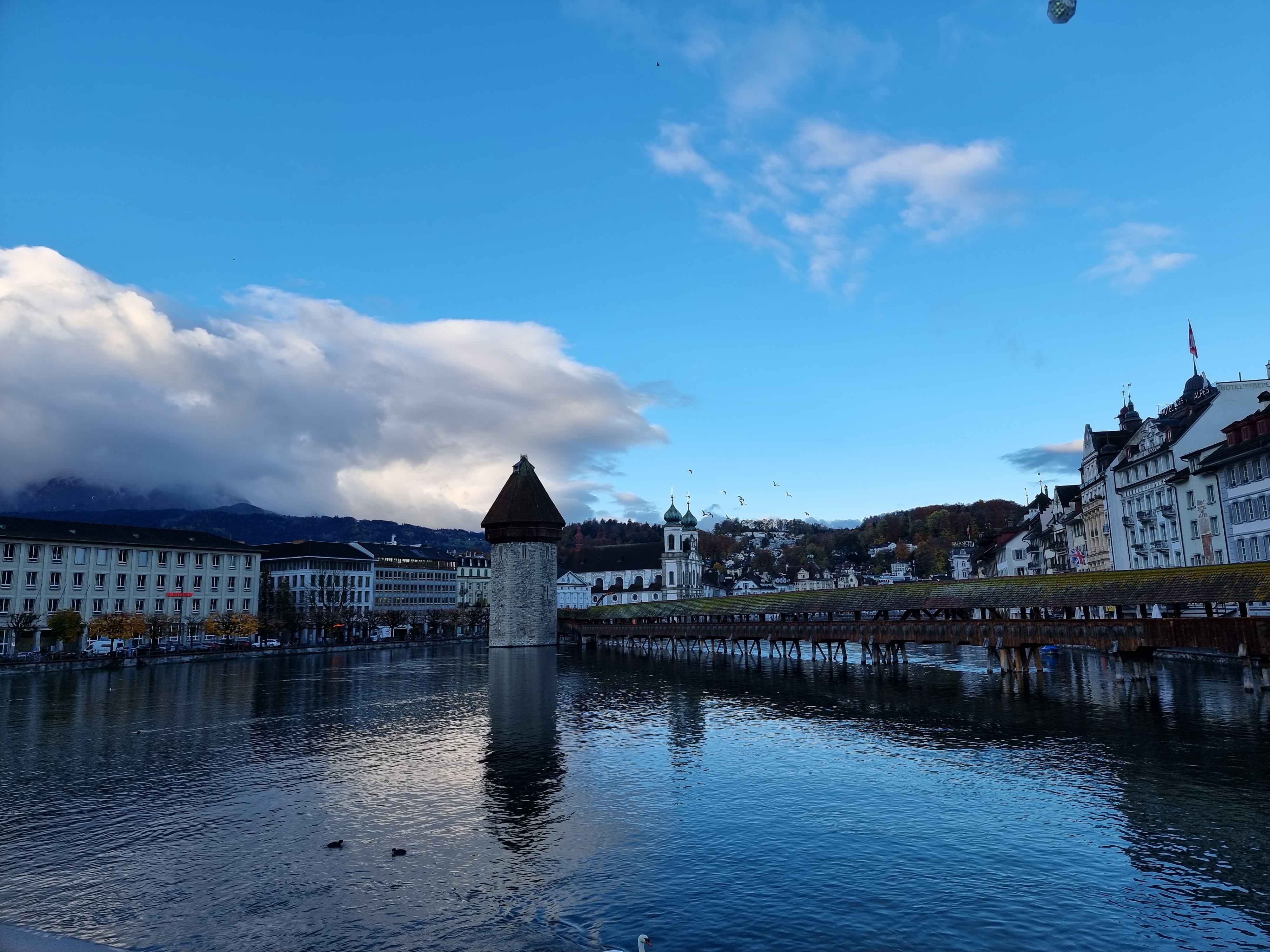 12박14일 터키, 스위스, 오스트리아 신혼여행 후기!